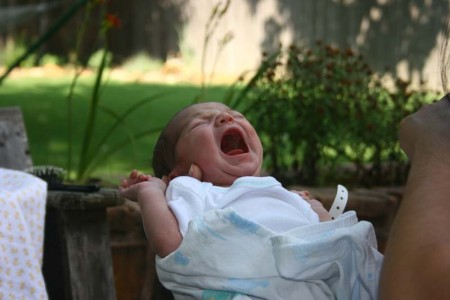 07.04.09.img_3094.800px