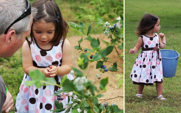 IcelandBluberryPicking