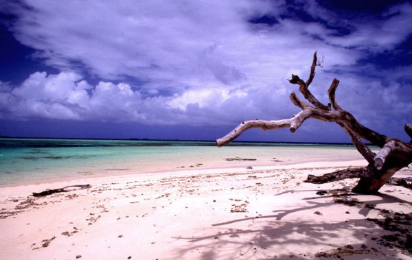 Marhsall-Islands-beach