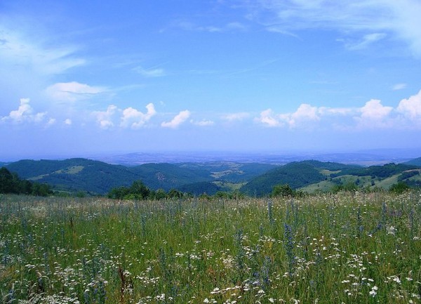 Šumadija. Photo by Струјајое.