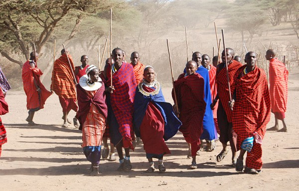 Traditional Dance welcoming us into a Ngorongoro Maasai Village / The Maasai are a Nilotic [Nile Valley] ethnic group of semi-nomadic people located in Kenya and northern Tanzania. Photo by Harvey Barrison.