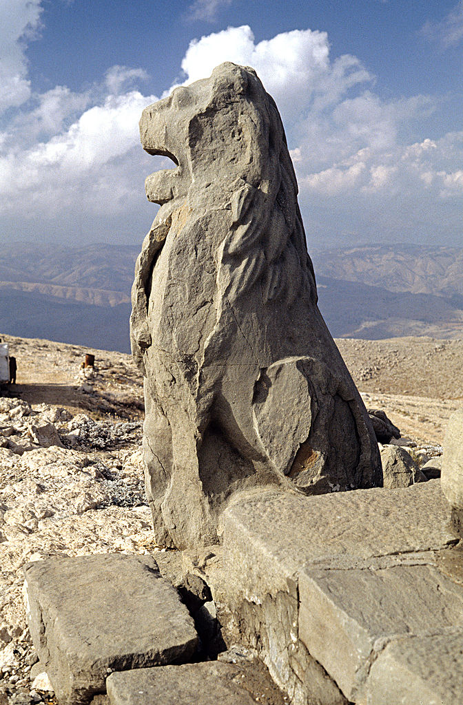 Lion. Photo by Klaus-Peter Simon.