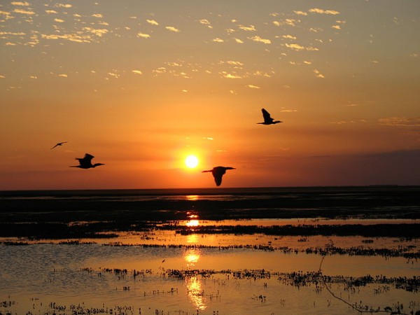 Sunset in Llanos, Venezuela. Photo by Anagoria.