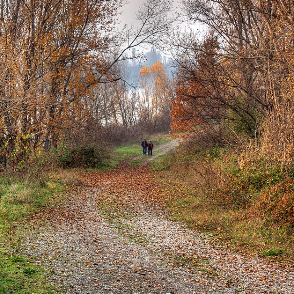 Photo of the Secchia River by Roberto Ferrari from Campogalliano (Modena), Italy.