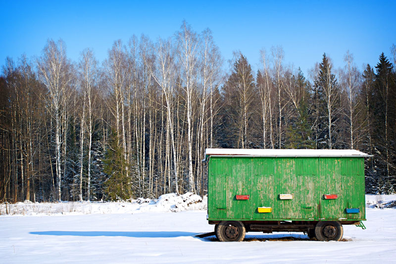 Beehive transport in Latvia. Photo by Tiago Fioreze.